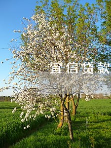 宜信贷款逾期发来律师函 宜信贷款逾期发来律师函