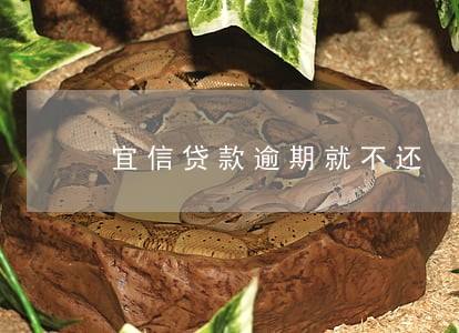 宜信贷款逾期就不还