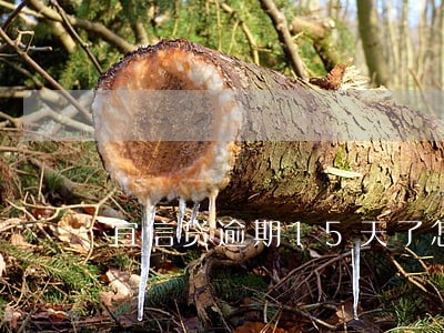 宜信贷逾期15天了怎么办 宜信贷逾期15天了怎么办