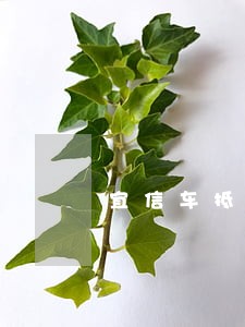 宜信车抵押贷款逾期多久会收车 宜信车抵押贷款逾期多久会收车