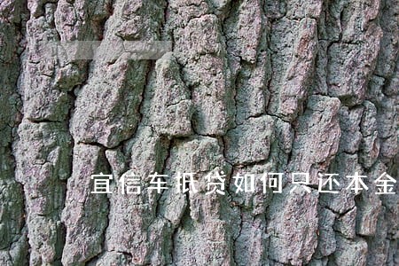 宜信车抵贷如何只还本金 宜信车抵贷如何只还本金