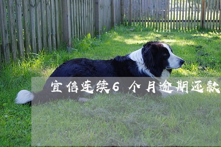 宜信连续6个月逾期还款 宜信连续6个月逾期还款