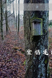 宜信连续6个月逾期还款还不上 宜信连续6个月逾期还款还不上