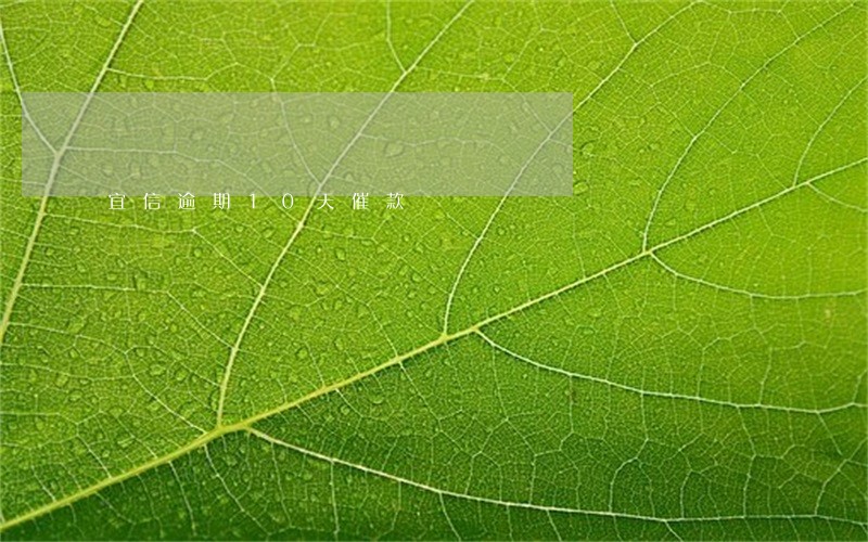 宜信逾期10天催款 宜信逾期10天催款