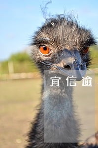 宜信逾期15天上门 宜信逾期15天上门