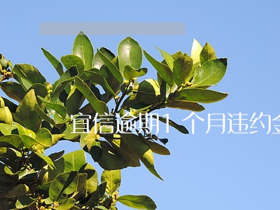 宜信逾期1个月违约金多少 宜信逾期1个月违约金多少