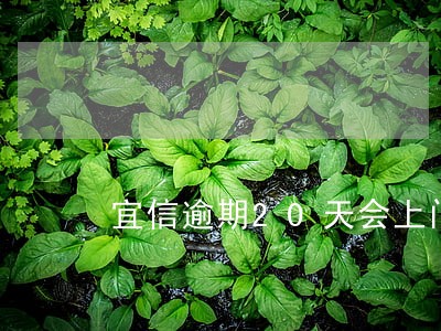 宜信逾期20天会上门吗 宜信逾期20天会上门吗