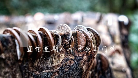 宜信逾期2个月会上门吗 宜信逾期2个月会上门吗