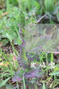 宜信逾期2年利息多少 宜信逾期2年利息多少