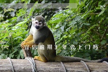 宜信逾期3年会上门吗 宜信逾期3年会上门吗