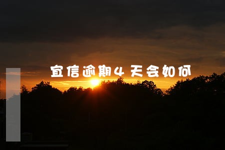 宜信逾期4天会如何 宜信逾期4天会如何