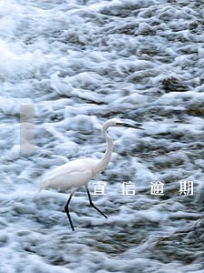 宜信逾期7年诉讼时效 宜信逾期7年诉讼时效