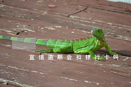 宜信逾期会扣银行卡吗 宜信逾期会扣银行卡吗