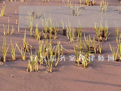 宜兴债务案件律师网 宜兴债务案件律师网