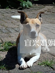 宜兴婚姻律师咨询电话 宜兴婚姻律师咨询电话