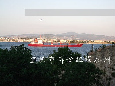 宜兴市诉讼担保泰州 宜兴市诉讼担保泰州