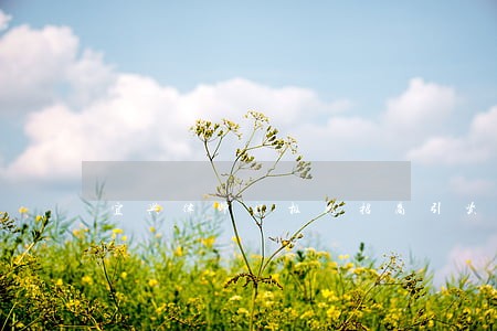 宜兴律师积极为招商引资提供法律