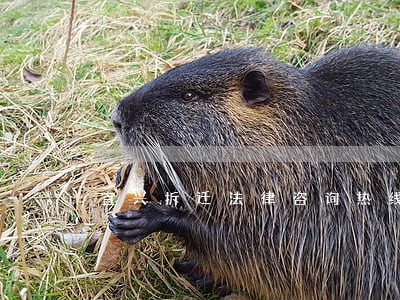 宜兴拆迁法律咨询热线 宜兴拆迁法律咨询热线
