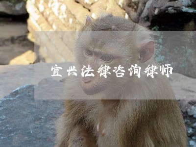 宜兴法律咨询律师 宜兴法律咨询律师