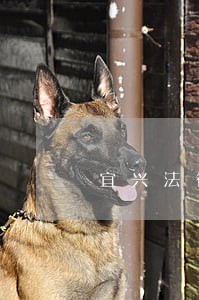 宜兴法律顾问时效 宜兴法律顾问时效
