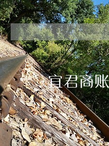 宜君商账催收案件律师 宜君商账催收案件律师