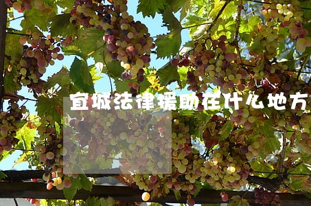 宜城法律援助在什么地方 宜城法律援助在什么地方
