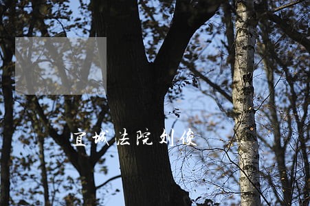 宜城法院刘俊 宜城法院刘俊