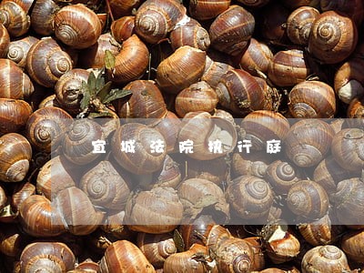 宜城法院执行庭 宜城法院执行庭