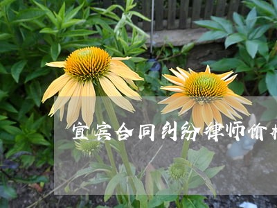 宜宾合同纠纷律师价格 宜宾合同纠纷律师价格