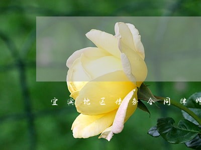 宜宾地区债务合同律师 宜宾地区债务合同律师