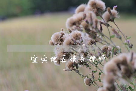 宜宾地区债务律师 宜宾地区债务律师