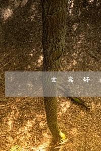 宜宾好口碑的刑事律师大概多少钱 宜宾好口碑的刑事律师大概多少钱