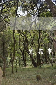 宜宾市专业的劳动律师