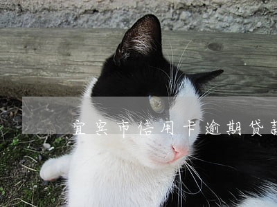 宜宾市信用卡逾期贷款 宜宾市信用卡逾期贷款
