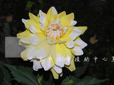 宜宾市法律援助中心累吗 宜宾市法律援助中心累吗