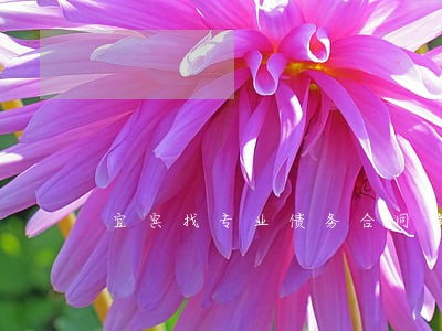 宜宾找专业债务合同律师 宜宾找专业债务合同律师
