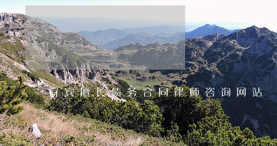 宜宾擅长债务合同律师咨询网站 宜宾擅长债务合同律师咨询网站