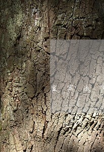 宜宾法律咨询 宜宾法律咨询