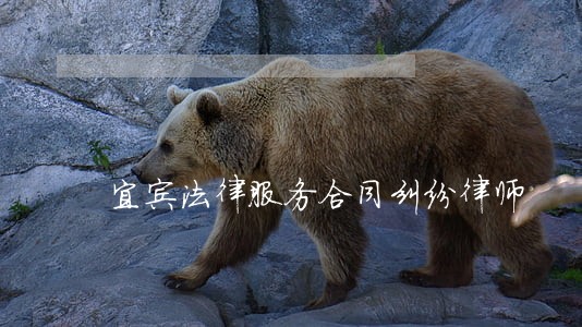 宜宾法律服务合同纠纷律师 宜宾法律服务合同纠纷律师