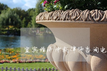 宜宾经济仲裁律师咨询电话 宜宾经济仲裁律师咨询电话