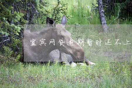 宜宾网贷逾期暂时还不上怎么办 宜宾网贷逾期暂时还不上怎么办