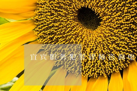 宜宾职务犯罪律师咨询电话 宜宾职务犯罪律师咨询电话