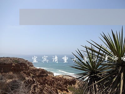 宜宾请重大案件律师哪家好 宜宾请重大案件律师哪家好