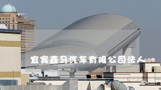 宜宾鑫马汽车有限公司法人 宜宾鑫马汽车有限公司法人