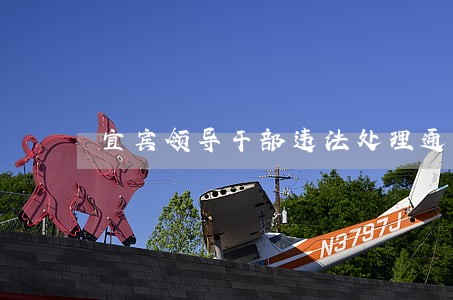 宜宾领导干部违法处理通报
