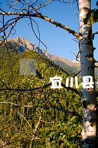 宜川县外贸担保纠纷处理律师 宜川县外贸担保纠纷处理律师
