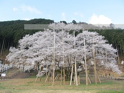 宜州法院加强信息化建设 宜州法院加强信息化建设