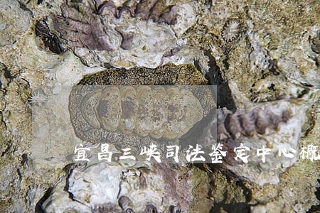 宜昌三峡司法鉴定中心概况