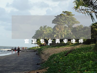 宜昌专业再审律师