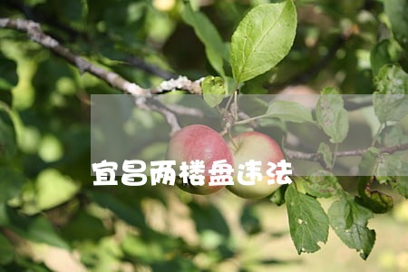 宜昌两楼盘违法 宜昌两楼盘违法